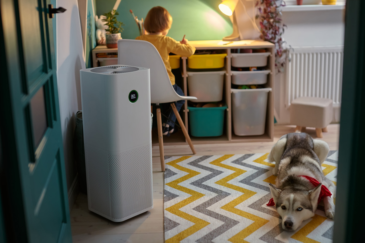 jaki osuszacz powietrza